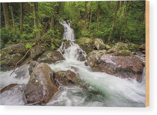 Great Smoky Mountain National Park Wood Print featuring the photograph Mouse Creek Falls #1 by Darrell DeRosia