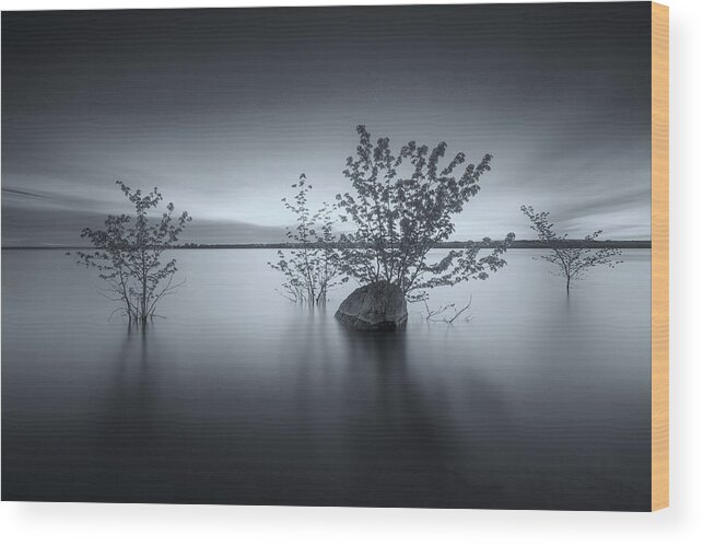 River Wood Print featuring the photograph Ottawa River #1 by Henry w Liu