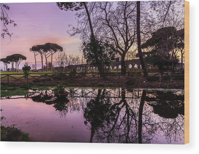 Acquedotti Wood Print featuring the photograph Parco degli Acquedotti at sunset in Rome, Italy #1 by Fabiano Di Paolo