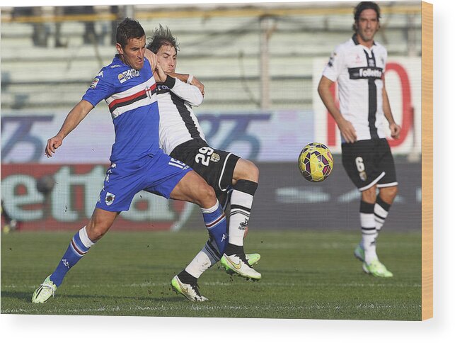 People Wood Print featuring the photograph Parma FC v UC Sampdoria - Serie A #1 by Marco Luzzani