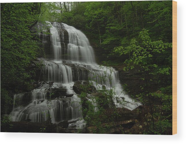 Pearson's Falls Wood Print featuring the photograph Pearson's Falls #1 by Doug McPherson