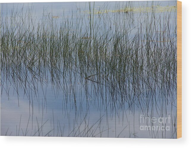Pond Wood Print featuring the photograph Pond Reflections by Kae Cheatham