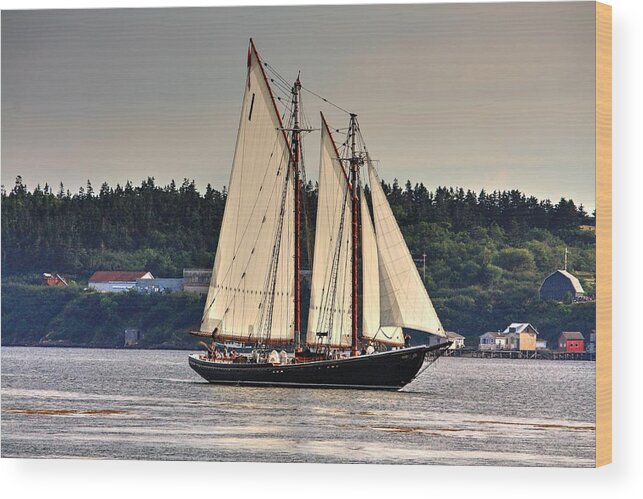 The Bluenose Ll Out Of Lunenberg Nova Scotia En Route To Digby Nova Scotia Via Petit Passage Bay Of Fundy Sea Oceans Ships Sail Land Water Clipper Wood Print featuring the photograph Sailing #1 by David Matthews