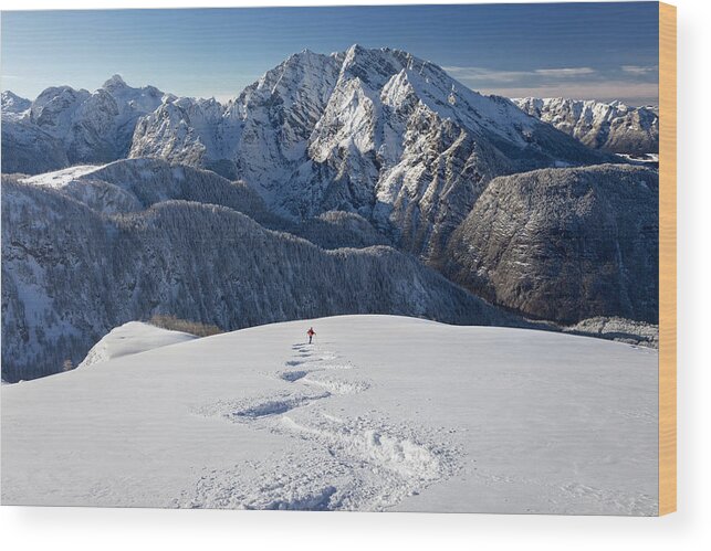 Expertise Wood Print featuring the photograph Skitouring downhill - powder skiing at Watzmann - Nationalpark Berchtesgaden by DieterMeyrl