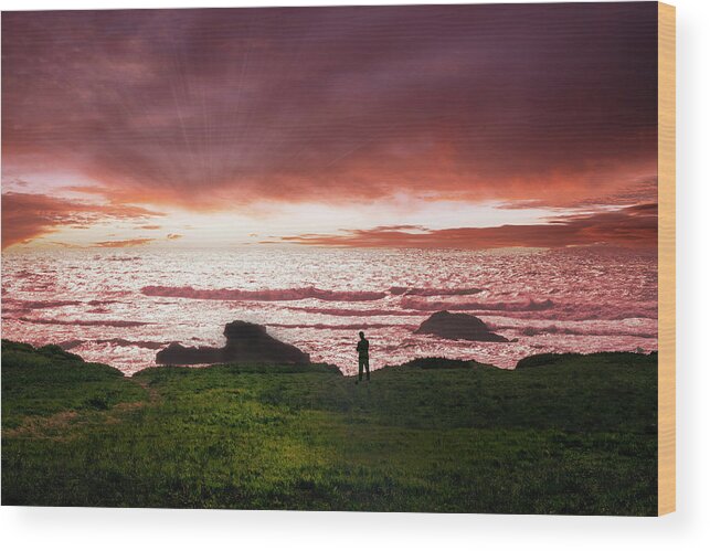 Sunset Watcher Wood Print featuring the photograph Sunset Watcher #1 by Frank Wilson