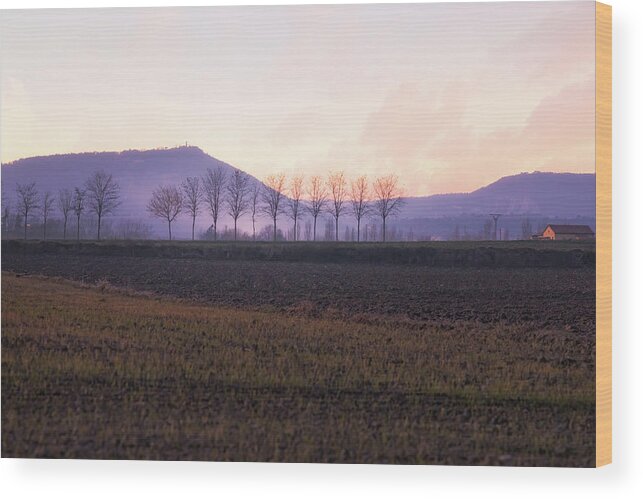 Agriculture Wood Print featuring the photograph The mist settles in the valley after sunset by Jordi Carrio Jamila