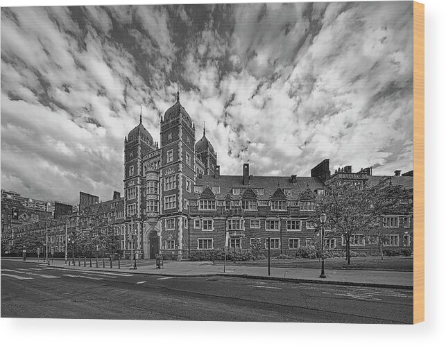 U-penn Wood Print featuring the photograph U Penn Quadrangle Towers #1 by Susan Candelario