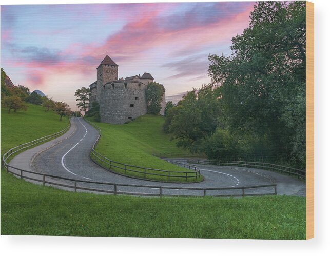 Vaduz Castle Wood Print featuring the photograph Vaduz - Liechtenstein #1 by Joana Kruse