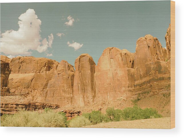 Backgrounds Wood Print featuring the photograph Vintage Look Desert Scene #1 by Kyle Lee