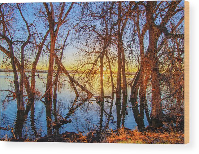 Autumn Wood Print featuring the photograph Twisted Trees On Lake at Sunset by Tom Potter