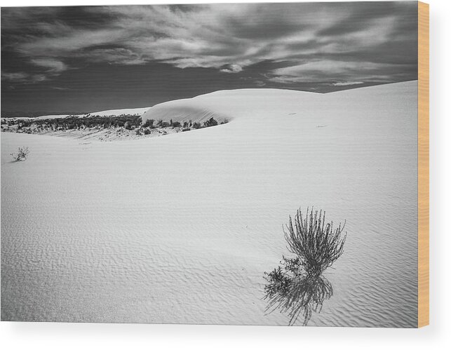 White Sands Wood Print featuring the photograph White Sands by Candy Brenton