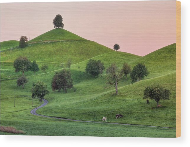 Linden Wood Print featuring the photograph Hirzel - Switzerland #10 by Joana Kruse