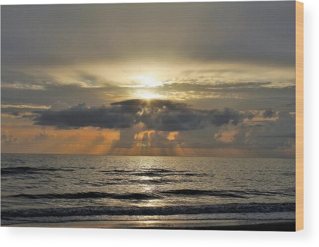  Wood Print featuring the photograph Naples Sunset #10 by Donn Ingemie