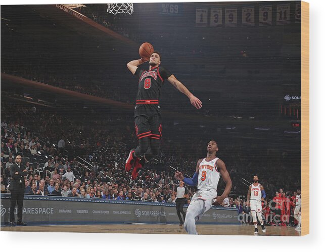 Chicago Bulls Wood Print featuring the photograph Zach Lavine by Nathaniel S. Butler