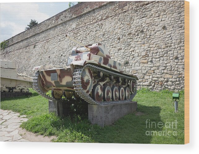 Serbia Wood Print featuring the photograph Belgrade Fortress #4 by DLGoldstein Photography