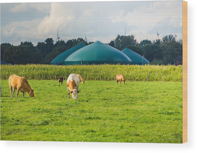Fermenting Wood Print featuring the photograph Biogas #2 by Faba-Photograhpy