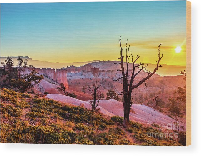 Bryce Wood Print featuring the photograph Bryce At Sunrise #2 by Nathan Wasylewski