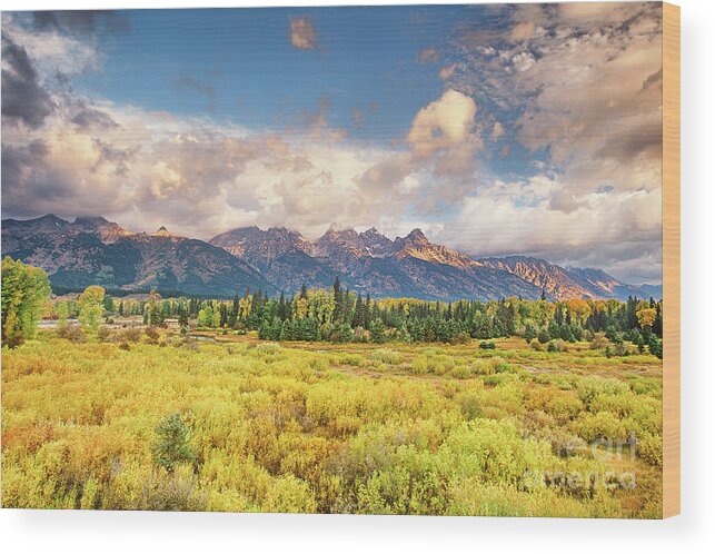 Dave Welling Wood Print featuring the photograph Clearing Storm Blacktail Ponds Grand Tetons National Park #2 by Dave Welling
