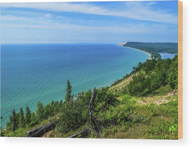 Sleeping Wood Print featuring the photograph Dune View from Empire Bluffs #2 by Curtis Krusie