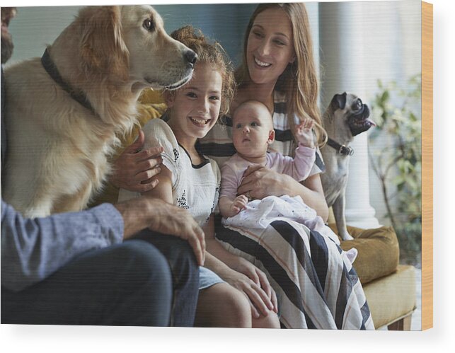 Pets Wood Print featuring the photograph Family sitting together in sofa with their dogs by Klaus Vedfelt