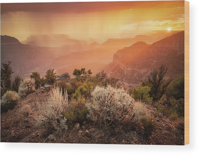 Grand Canyon National Park Wood Print featuring the photograph Grand Canyon by Whit Richardson