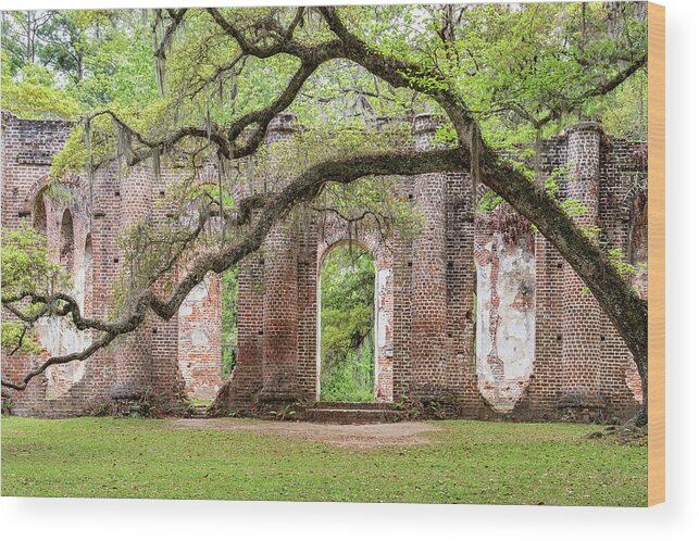 Brick Wood Print featuring the photograph Old Sheldon Church Ruins, South Carolina #2 by Dawna Moore Photography