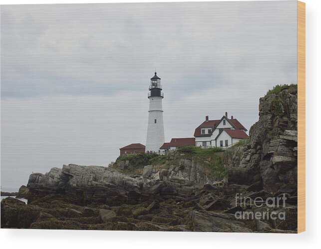 Lighthouse Wood Print featuring the photograph Portland headlight by Annamaria Frost