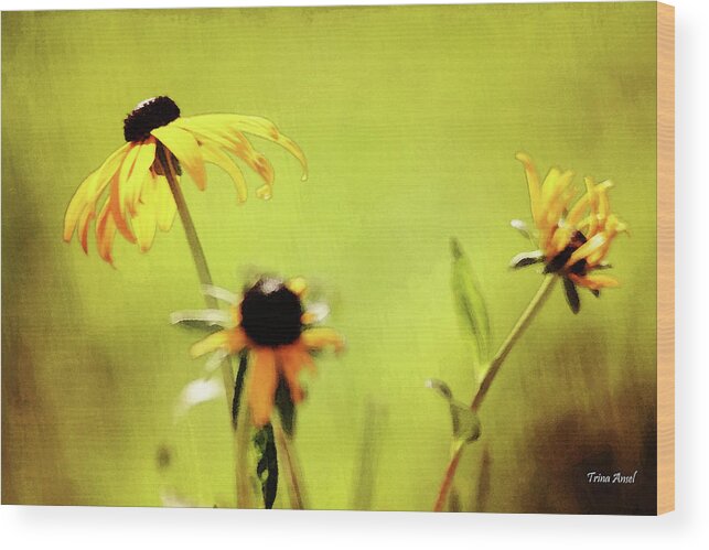 Flowers Wood Print featuring the photograph Summer Time #2 by Trina Ansel