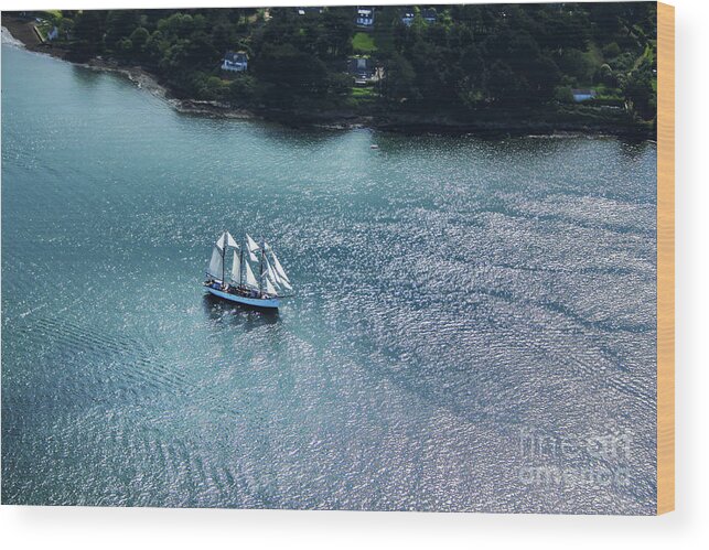 Sailing Wood Print featuring the photograph The Marite #3 by Frederic Bourrigaud