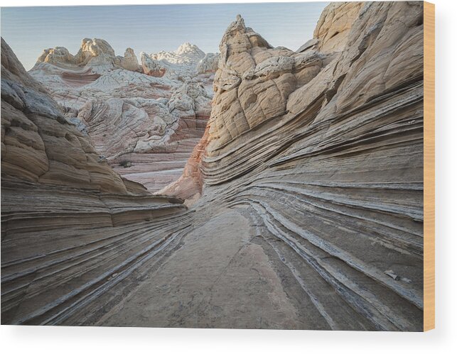 Scenics Wood Print featuring the photograph White Pocket, Arizona, USA #2 by David Clapp