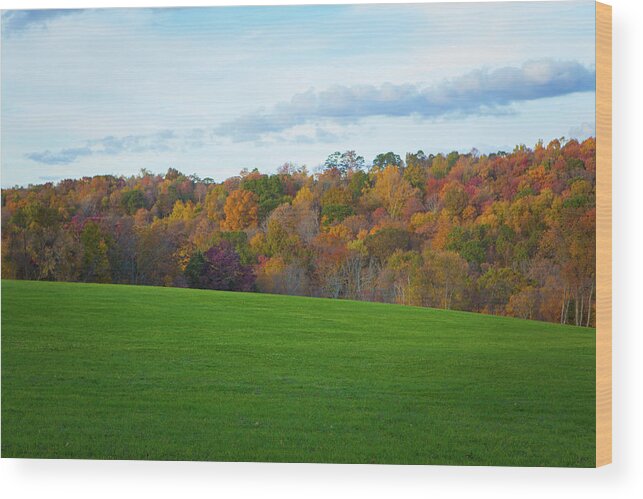 Fall Wood Print featuring the photograph Connecticut Foliage_7958 by Rocco Leone