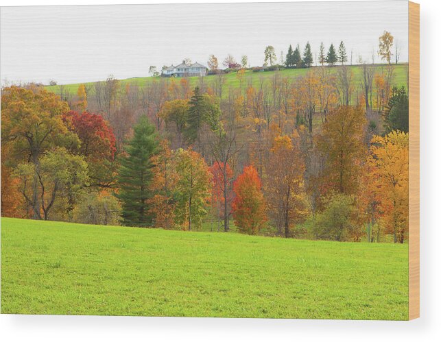 Fall Wood Print featuring the photograph Connecticut Foliage_8185 by Rocco Leone