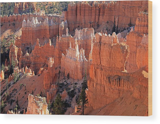 Bryce Canyon National Park Wood Print featuring the photograph Bryce Canyon National Park by Richard Krebs