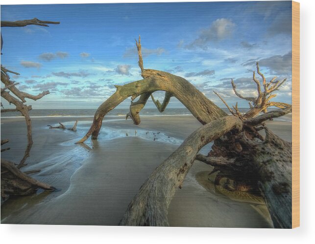 Beach Wood Print featuring the photograph Driftwood Beach #5 by Carolyn Hutchins