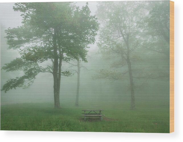 Morning Wood Print featuring the photograph Foggy Morning In Blue Ridge Mountains Picnic Area #3 by Alex Grichenko