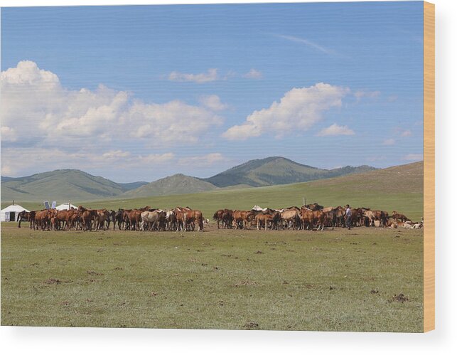 Nature In Mongolia Wood Print featuring the photograph Nature in Mongolia #3 by Otgon-Ulzii