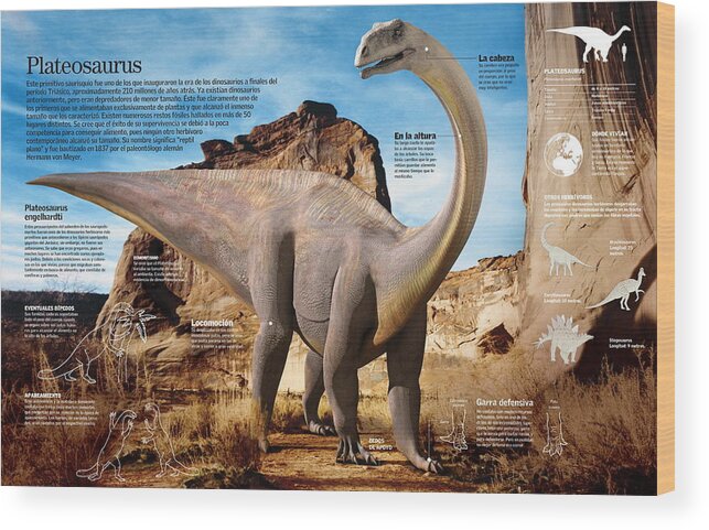 Ciencia Wood Print featuring the digital art Plateosaurus #3 by Album