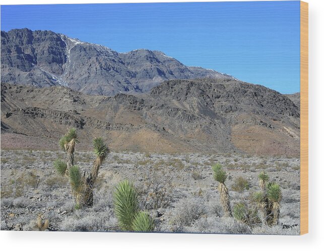 California Wood Print featuring the photograph Death Valley National Park #30 by Jonathan Babon
