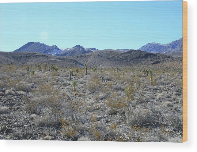 California Wood Print featuring the photograph Death Valley National Park #32 by Jonathan Babon