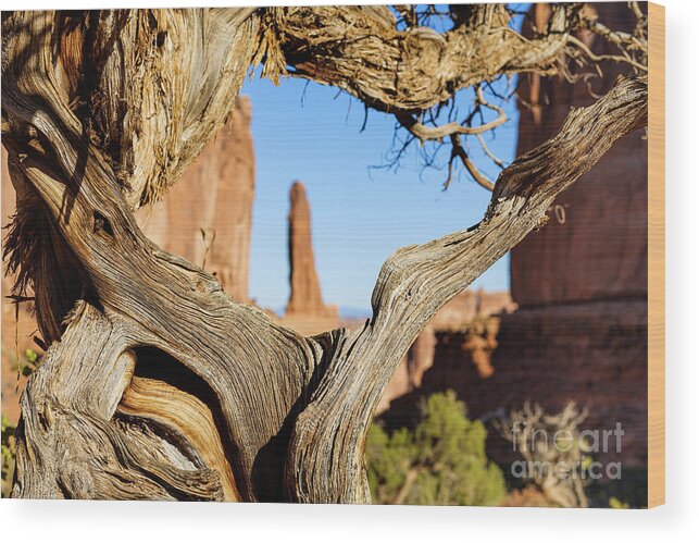 Arches National Park Wood Print featuring the photograph Arches National Park #35 by Raul Rodriguez