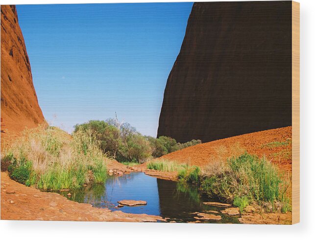  Wood Print featuring the photograph Australia #4 by Claude Taylor