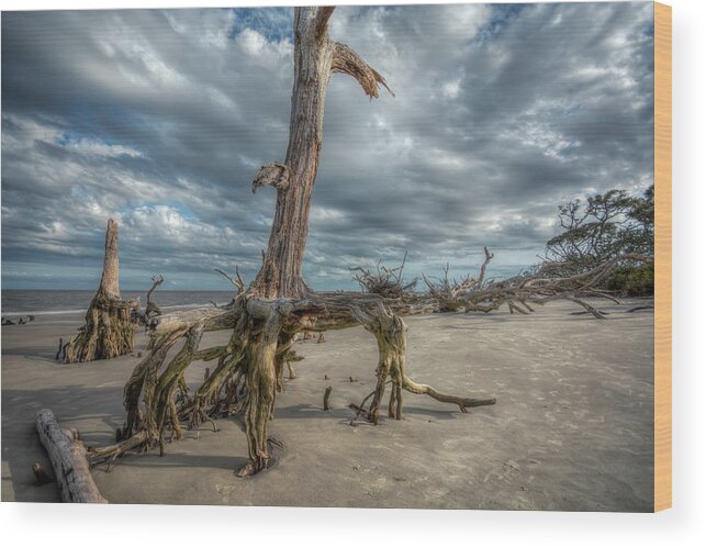 Beach Wood Print featuring the photograph Driftwood Beach #3 by Carolyn Hutchins