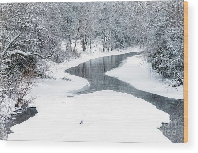 Gauley River Wood Print featuring the photograph Snow along Gauley River #4 by Thomas R Fletcher