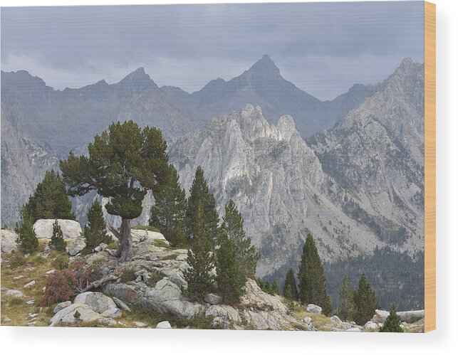 Pyrenees Wood Print featuring the photograph Spanish Pyrenees #5 by Ben Foster