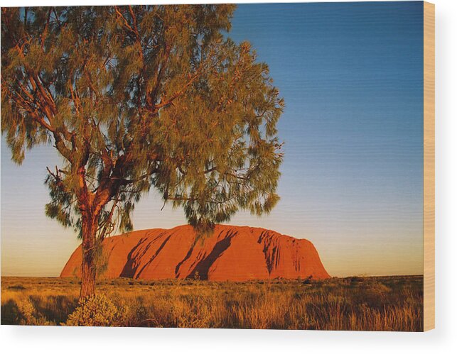  Wood Print featuring the photograph Australia #7 by Claude Taylor