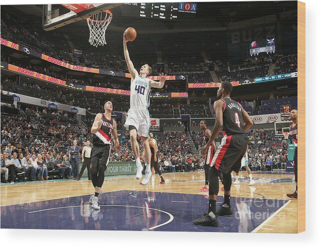 Nba Pro Basketball Wood Print featuring the photograph Cody Zeller by Kent Smith