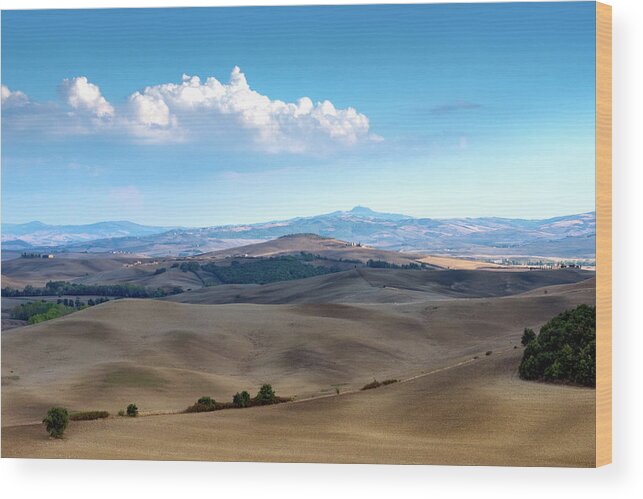 Beautiful Wood Print featuring the photograph landscape, Tuscany, Italy #7 by Eleni Kouri