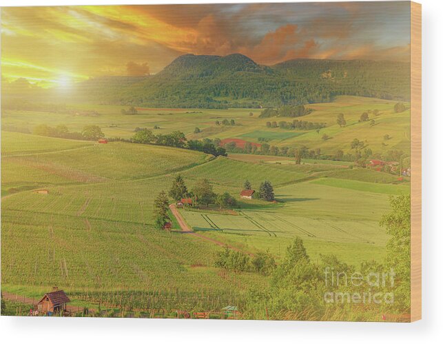 Terraced Vineyards Wood Print featuring the digital art vineyards of Hallau in Switzerland #7 by Benny Marty