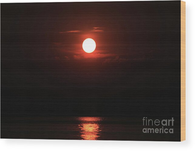 Sunrise Wood Print featuring the photograph Good Morning #8 by William Norton