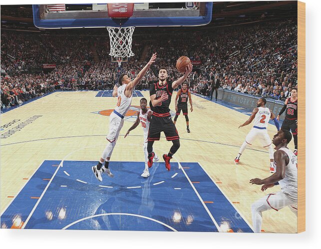Zach Lavine Wood Print featuring the photograph Zach Lavine by Nathaniel S. Butler